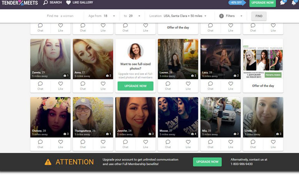 Profiles Quality on TenderMeets